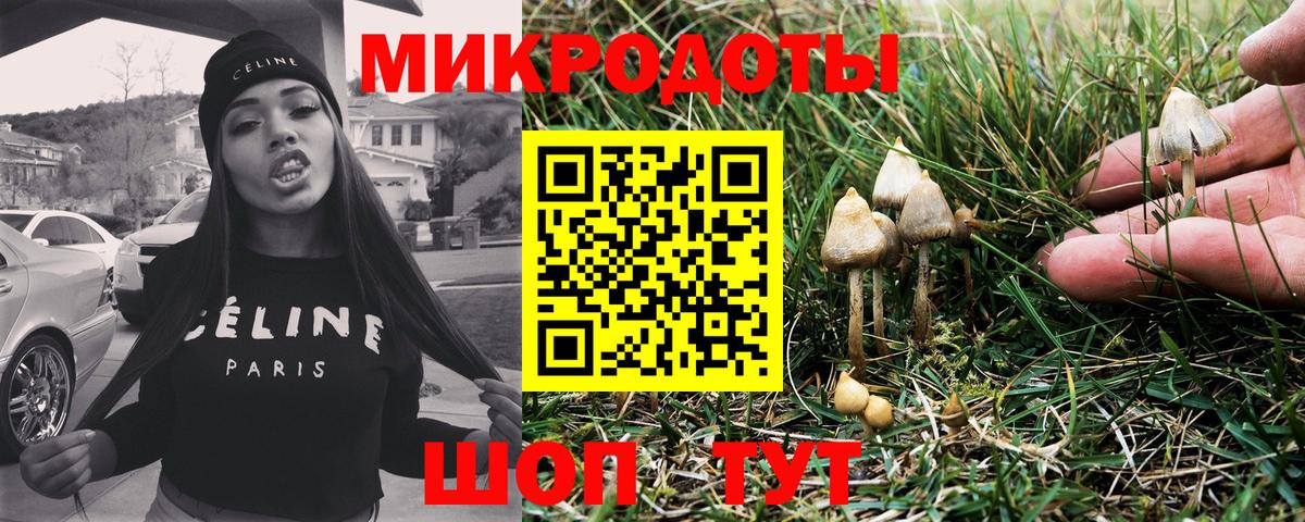 Псилоцибиновые грибы ЛСД Будённовск